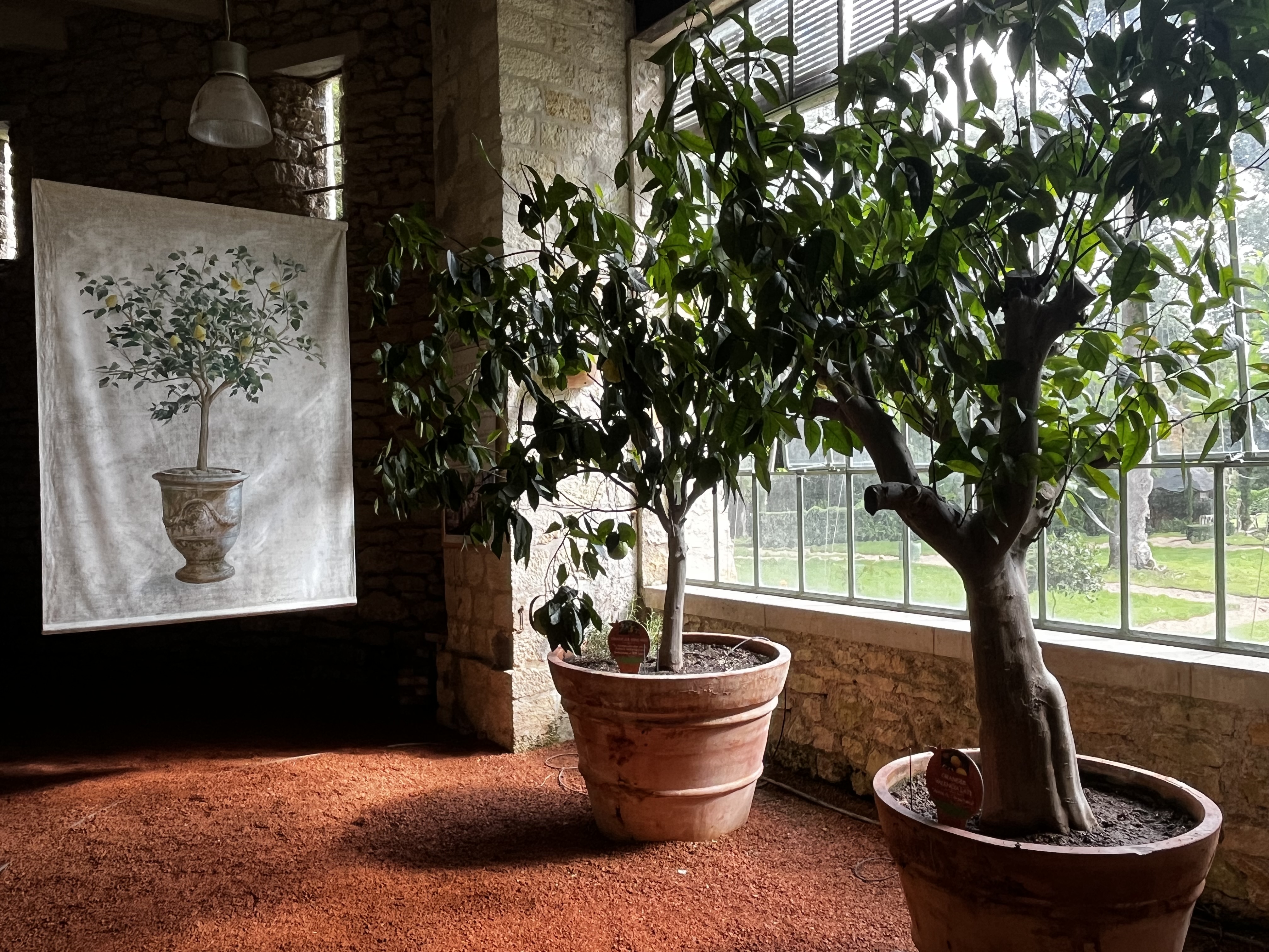 Photo n° 1 de l'avis de Léa.a fait le 16/09/2023 à 14:43