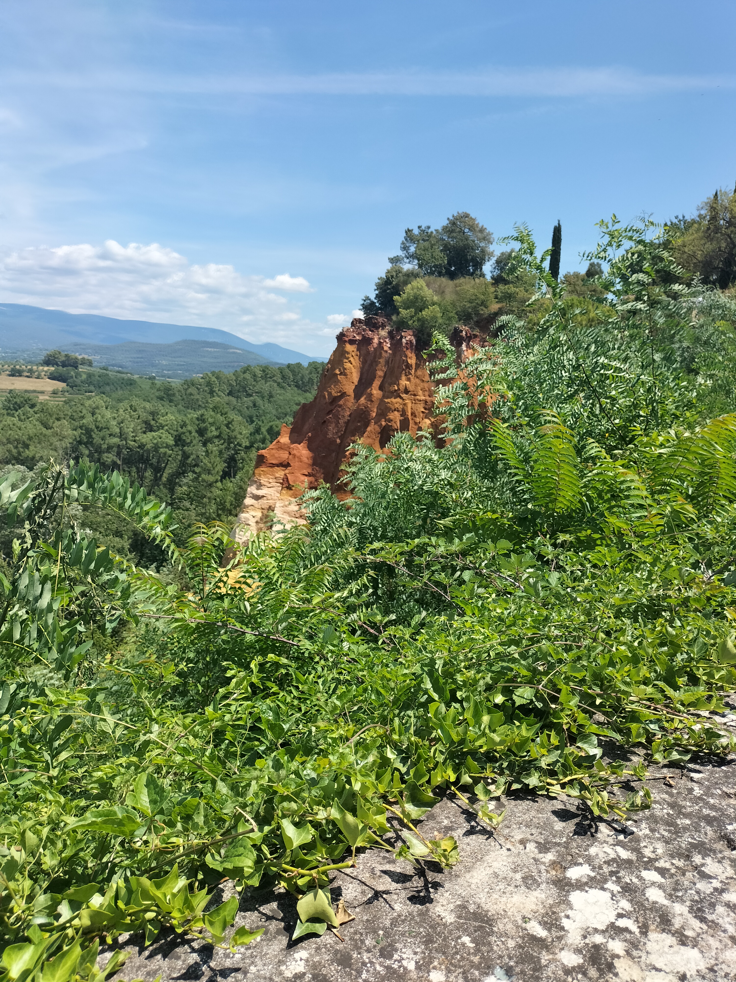 Photo n° 2 de l'avis de Katarina.e fait le 31/07/2023 à 18:47
