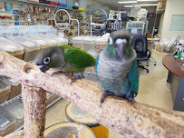 Bill's Birds & Pets - Photo 3 - Car repair in Davie, FL, Miami