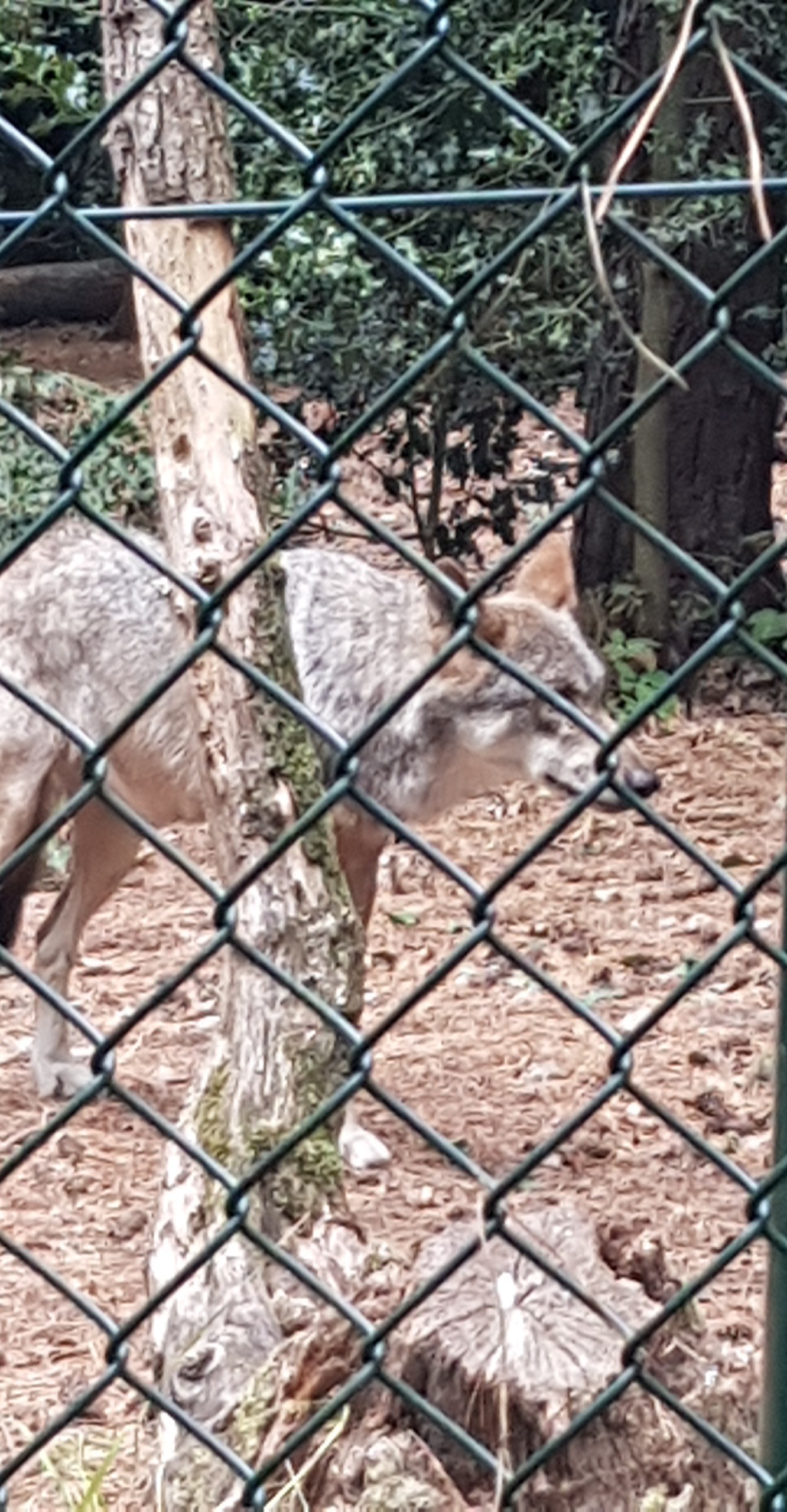 Photo n° 4 de l'avis de Olivier.c fait le 16/08/2018 à 13:17