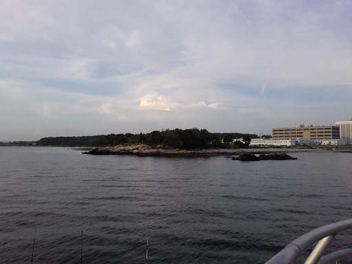 Auto Parts Store «NAPA Auto Parts - Genuine Parts Company», reviews and photos, 1260 Newfield St, Middletown, CT 06457, USA