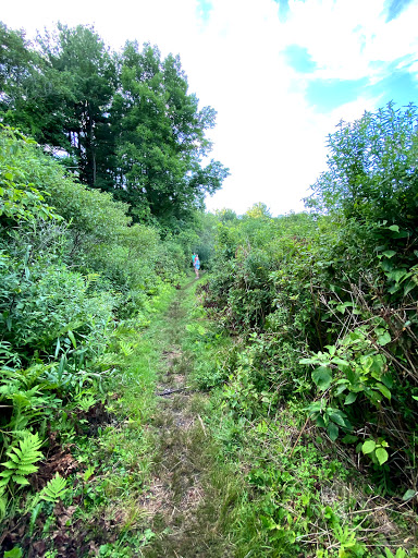 Nature Preserve «Great Flats Nature Trail», reviews and photos, W Campbell Rd, Schenectady, NY 12306, USA