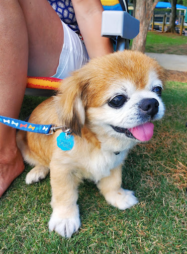 Park «Riverside Park», reviews and photos, 575 Riverside Rd, Roswell, GA 30075, USA