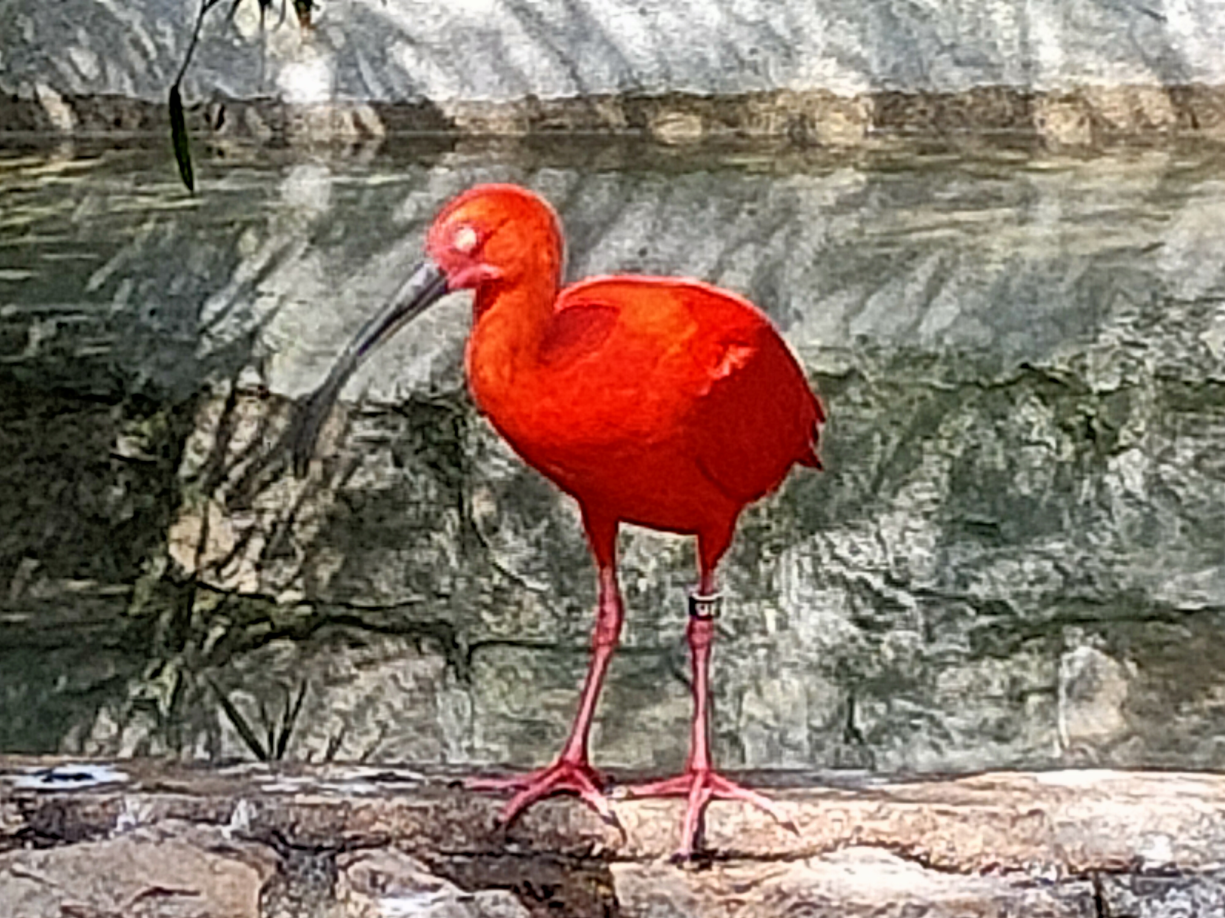 Photo n° 11 de l'avis de Eric.l fait le 16/04/2023 à 16:52