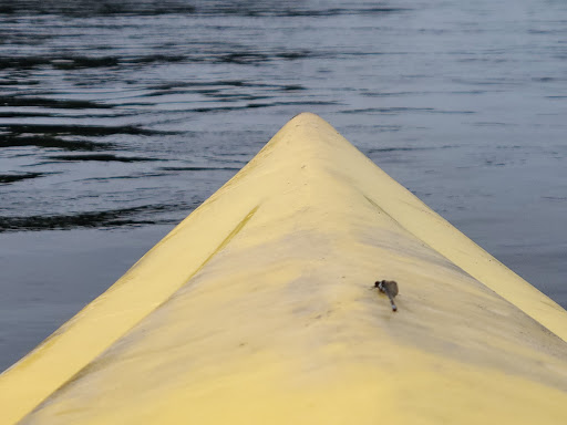 Camp «Adventure Sports», reviews and photos, 398 Seven Bridges Rd., East Stroudsburg, PA 18301, USA