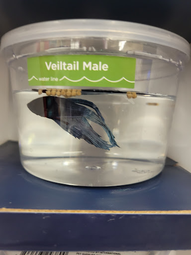 Pet Supply Store «Petco Animal Supplies», reviews and photos, 4915 E 41st St C, Tulsa, OK 74135, USA