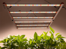 D & Ju Eco GrowTech Co.,Ltd