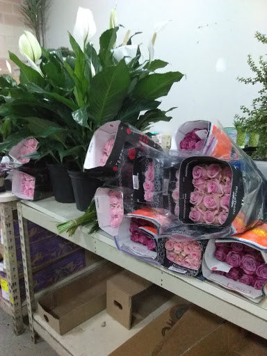 Florist «Nordlie Inc, - Detroit», reviews and photos, 25300 Guenther, Warren, MI 48091, USA