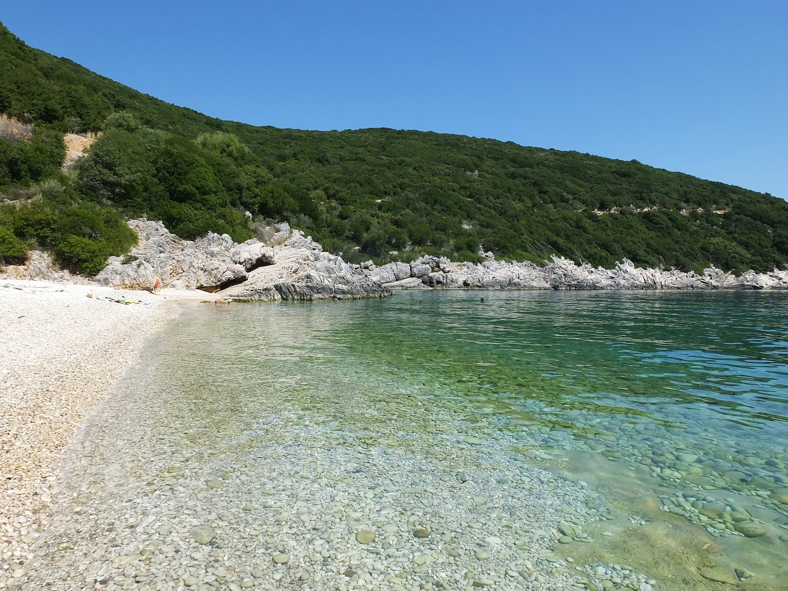 Φωτογραφία του Kamínia beach άγρια περιοχή
