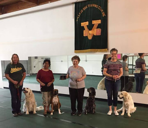 Vallejo Dog Training Club
