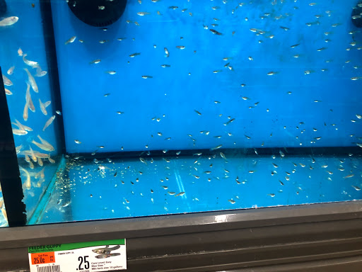 Pet Supply Store «Pet Supplies Plus», reviews and photos, 375 Paterson Ave #105, Wallington, NJ 07057, USA