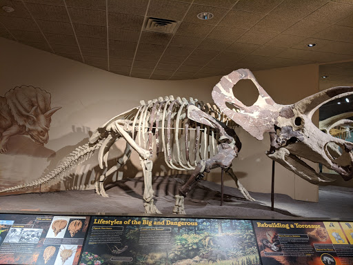 Imax Theater «The National Geographic Dome Theater & Daniel M. Soref Planetarium», reviews and photos, 800 W Wells St, Milwaukee, WI 53233, USA