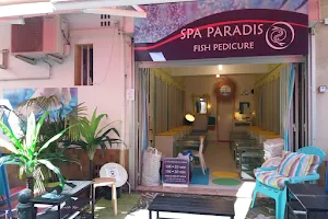 fish pedicure spa paradis image