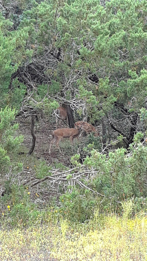 Nature Preserve «Stillhouse Hollow Nature Preserve», reviews and photos, 7810 Sterling Dr, Austin, TX 78759, USA
