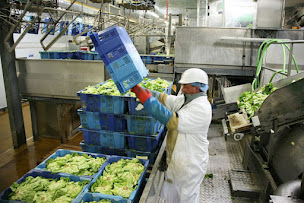 Photo n°7 de Florette Food Service France à Torreilles ()