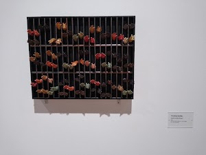 Harvey B. Gantt Center for African-American Arts Culture - photo 68