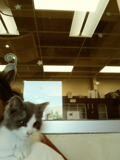 Animal Shelter «Humane Society of El Paso», reviews and photos