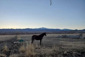 Rafter 7 Ranch: Walker River State Recreation Area image