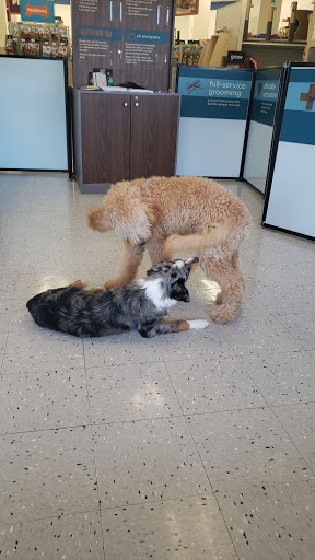 Pet Supply Store «Petco Animal Supplies», reviews and photos, 3468 Poplar Ave, Memphis, TN 38111, USA