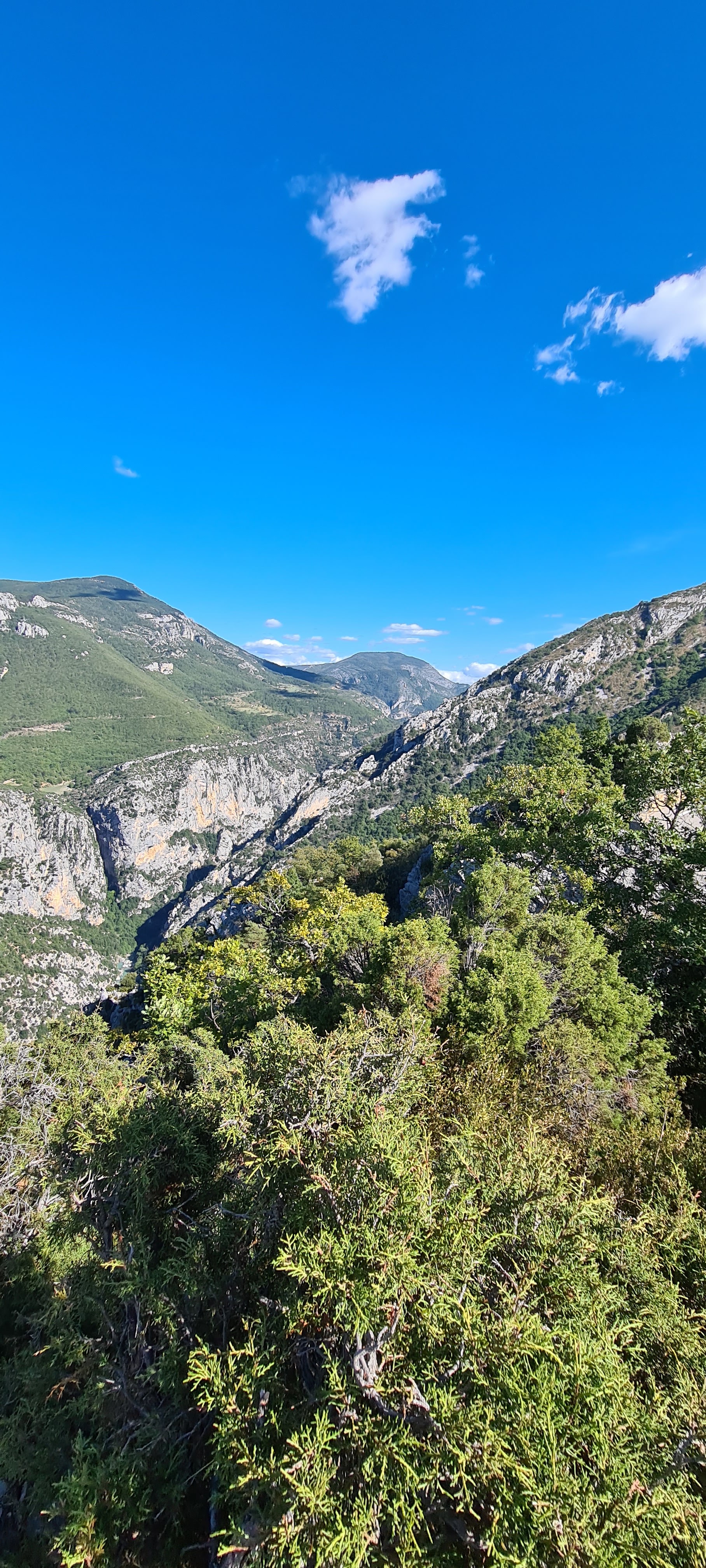Photo n° 7 de l'avis de Torsten.c fait le 18/09/2022 à 18:49