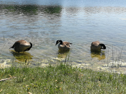 Nature Preserve «Blackwell Forest Preserve», reviews and photos, Butterfield Rd, Warrenville, IL 60555, USA