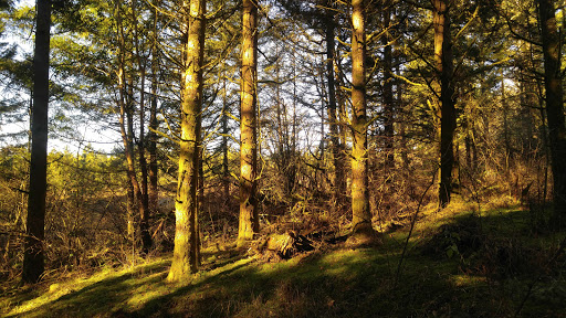 Park «Cooper Mountain Nature Park», reviews and photos, 18892 SW Kemmer Rd, Beaverton, OR 97007, USA