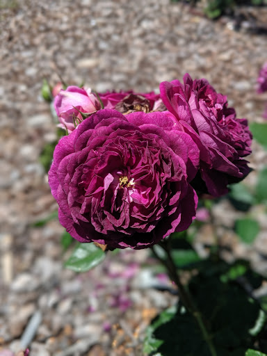 Community Center «NienhuisPark Community Center», reviews and photos, 3201 N 9th St, Broken Arrow, OK 74012, USA