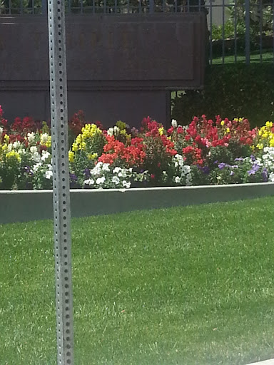 Entertainment «Fremont Street Experience», reviews and photos, Fremont St, Las Vegas, NV 89101, USA