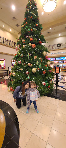 Shopping Mall «Shops At Dos Lagos», reviews and photos, 2780 Cabot Dr #140, Corona, CA 92883, USA