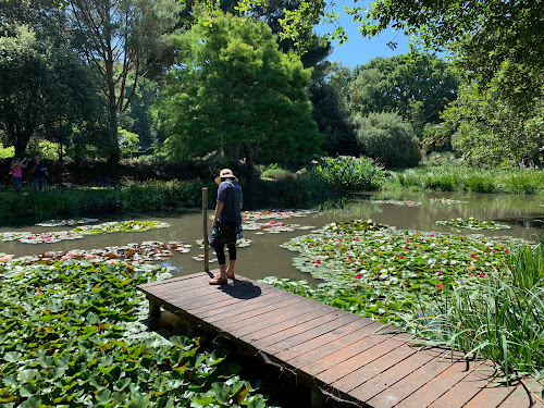 Jardin du Pellinec à Penvénan