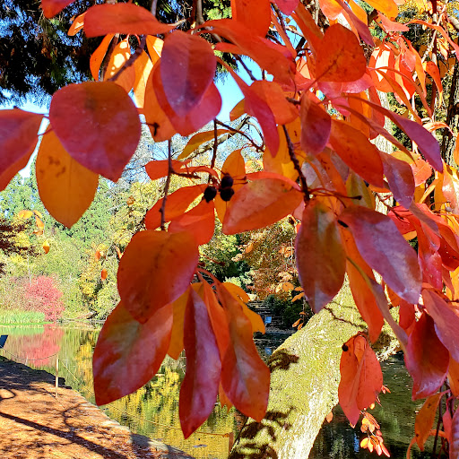 Golf Course «Eastmoreland Golf Course», reviews and photos, 2425 SE Bybee Blvd, Portland, OR 97202, USA