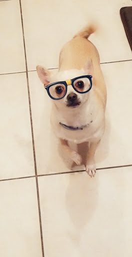 Pet Supply Store «Park Feed Store & Pet Supply», reviews and photos, 5775 Park Blvd N, Pinellas Park, FL 33781, USA