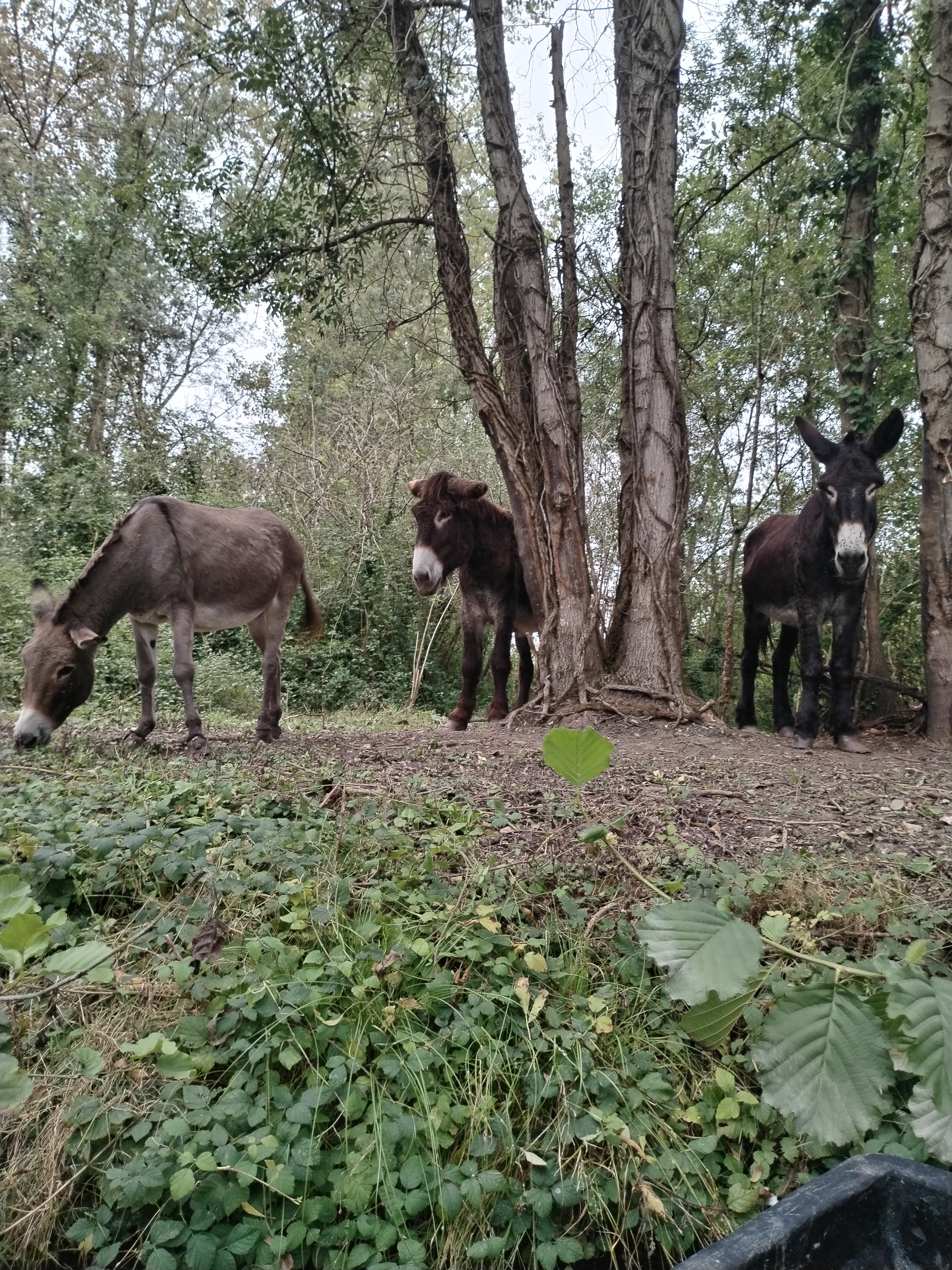 Photo n° 2 de l'avis de Nathalie.a fait le 27/09/2023 à 15:44