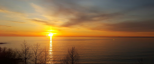 Insurance Agency «Farmers Insurance - Bonnie Perkins», reviews and photos