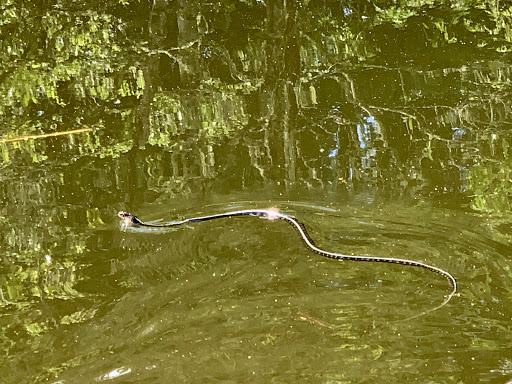 Golf Course «Sah-Hah-Lee Golf Course», reviews and photos, 17104 SE 130th Ave, Clackamas, OR 97015, USA