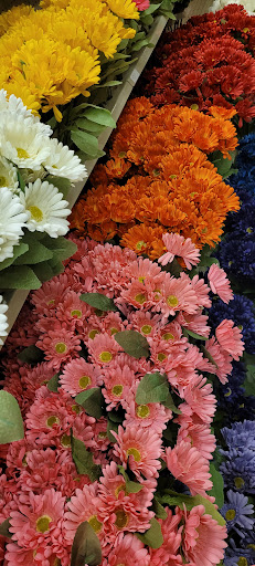 Craft Store «Hobby Lobby», reviews and photos, 7201 Shoppes Dr #101, Melbourne, FL 32940, USA