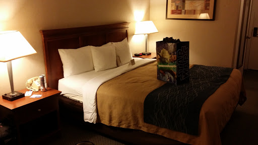 Quality Inn near Six Flags Discovery Kingdom-Napa Valley image