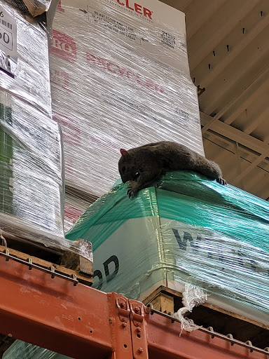 Home Improvement Store «The Home Depot», reviews and photos, 129 March Ave, Manchester, NH 03103, USA