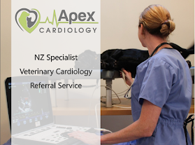 Apex Cardiology