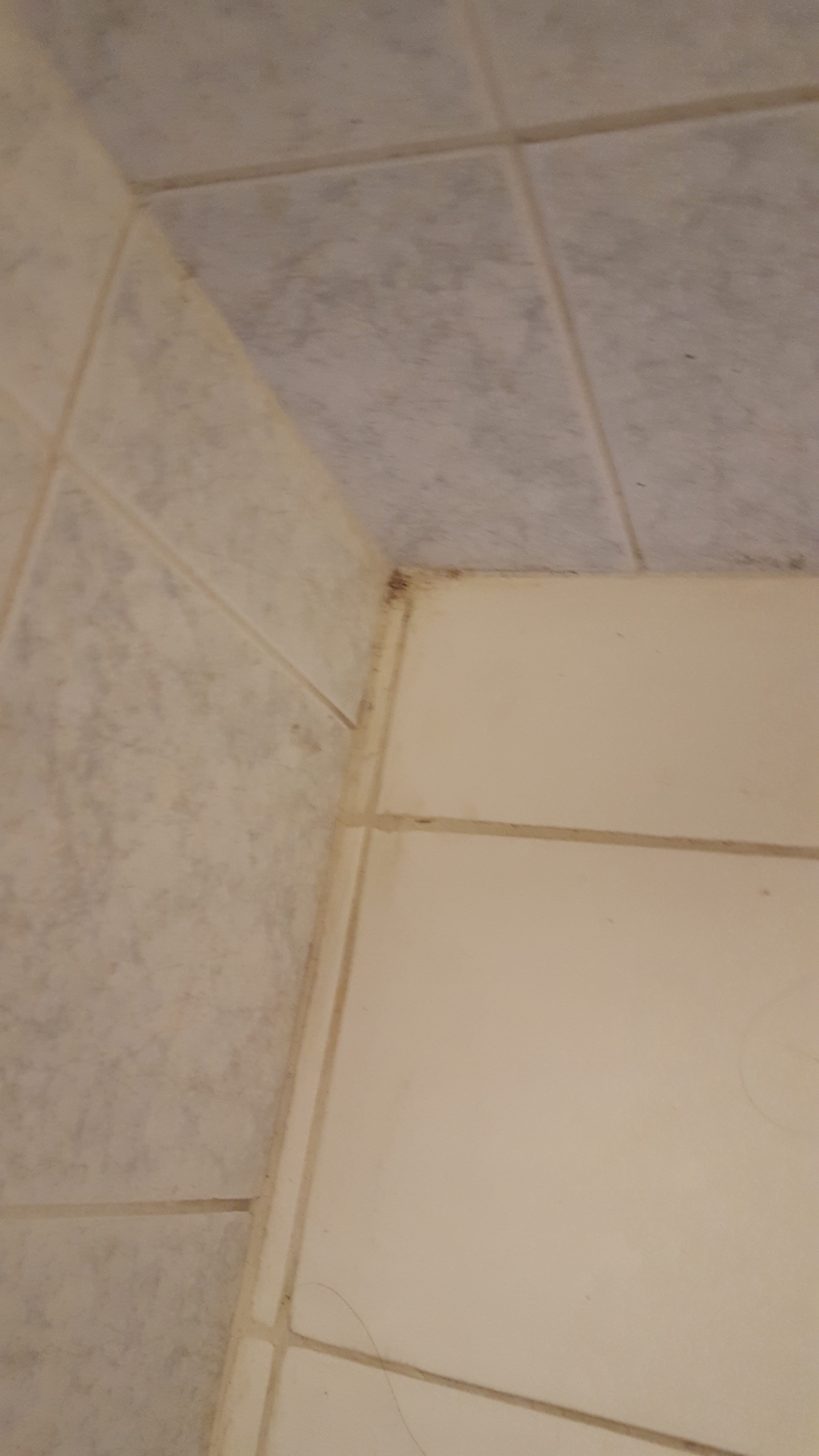 Photo n° 13 de l'avis de Konstantin.t fait le 22/03/2018 à 17:07