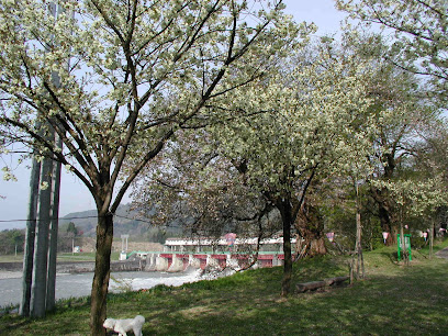 黄桜の丘公園