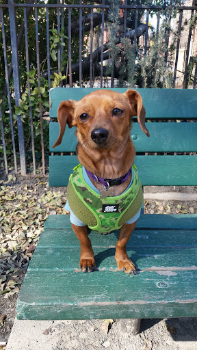 Park «Van Vorst Park», reviews and photos, 257-287 Montgomery St, Jersey City, NJ 07302, USA