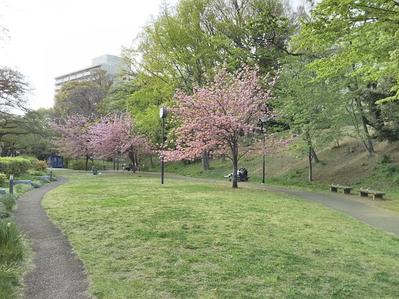 北区立赤羽台さくら並木公園 東京都北区桐ケ丘 公園 グルコミ