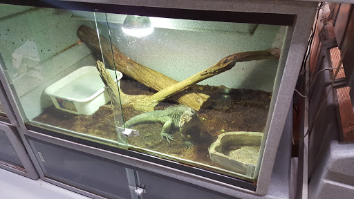 Pet Store «CUSTOM CREATURES PET SHOP», reviews and photos, 10727 N 19th Ave, Phoenix, AZ 85029, USA