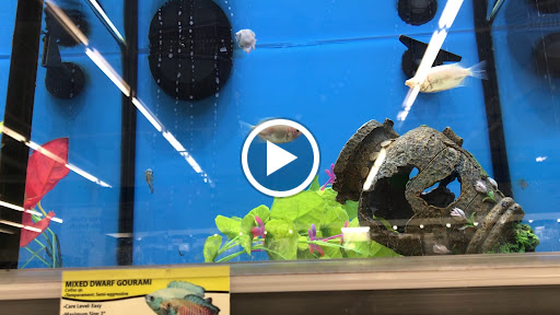 Pet Supply Store «Pet Supplies Plus», reviews and photos, 1661 Easton Rd #81, Warrington, PA 18976, USA