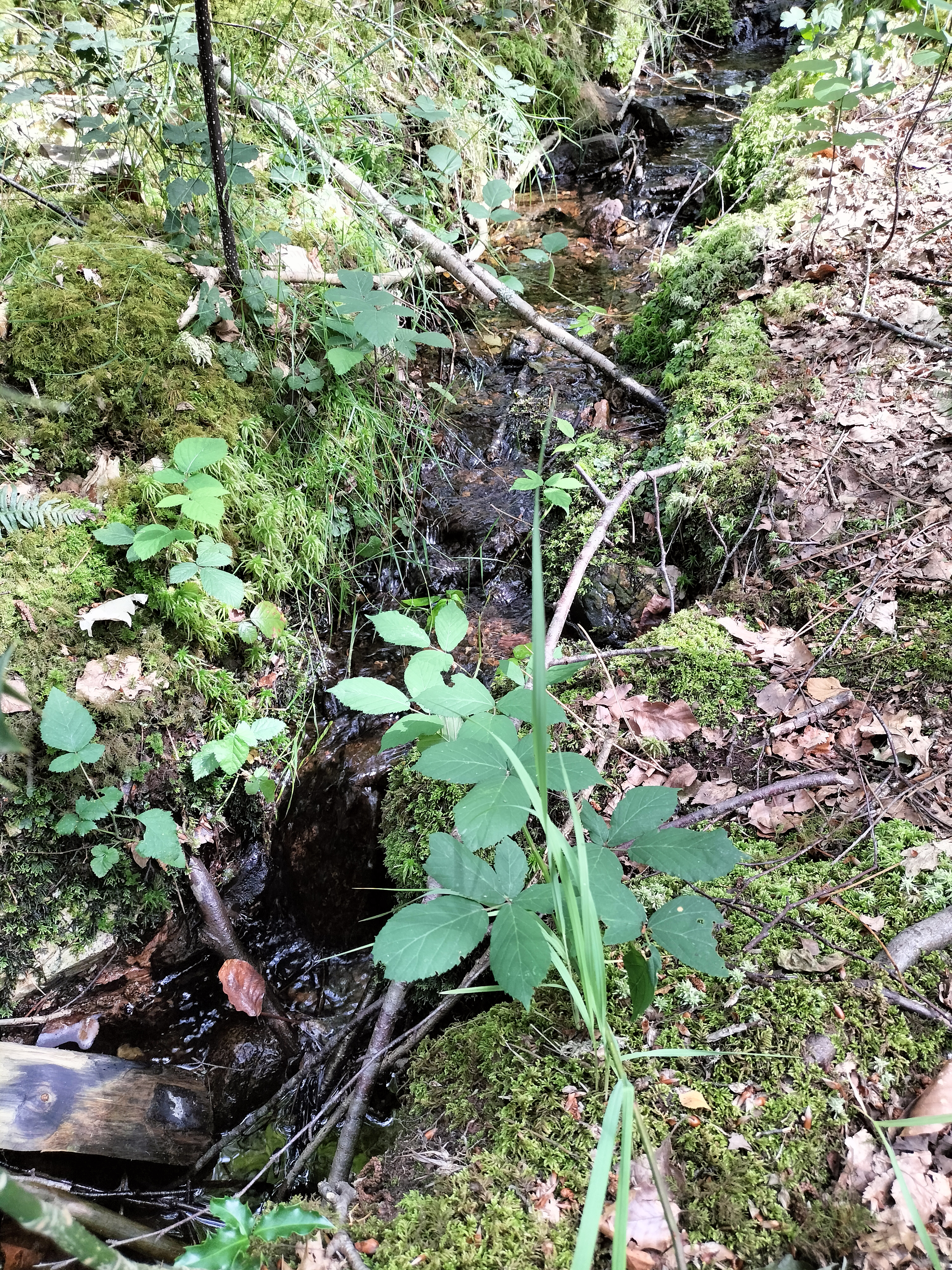 Photo n° 1 de l'avis de Adry. fait le 08/08/2023 à 10:36