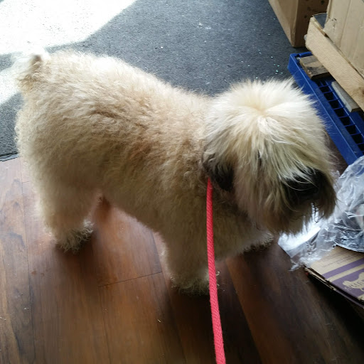 Pet Store «Pet Valu», reviews and photos, 2290 Central Park Ave, Yonkers, NY 10701, USA