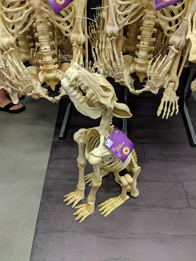 Home Improvement Store «The Home Depot», reviews and photos, 1550 Old Country Rd, Riverhead, NY 11901, USA