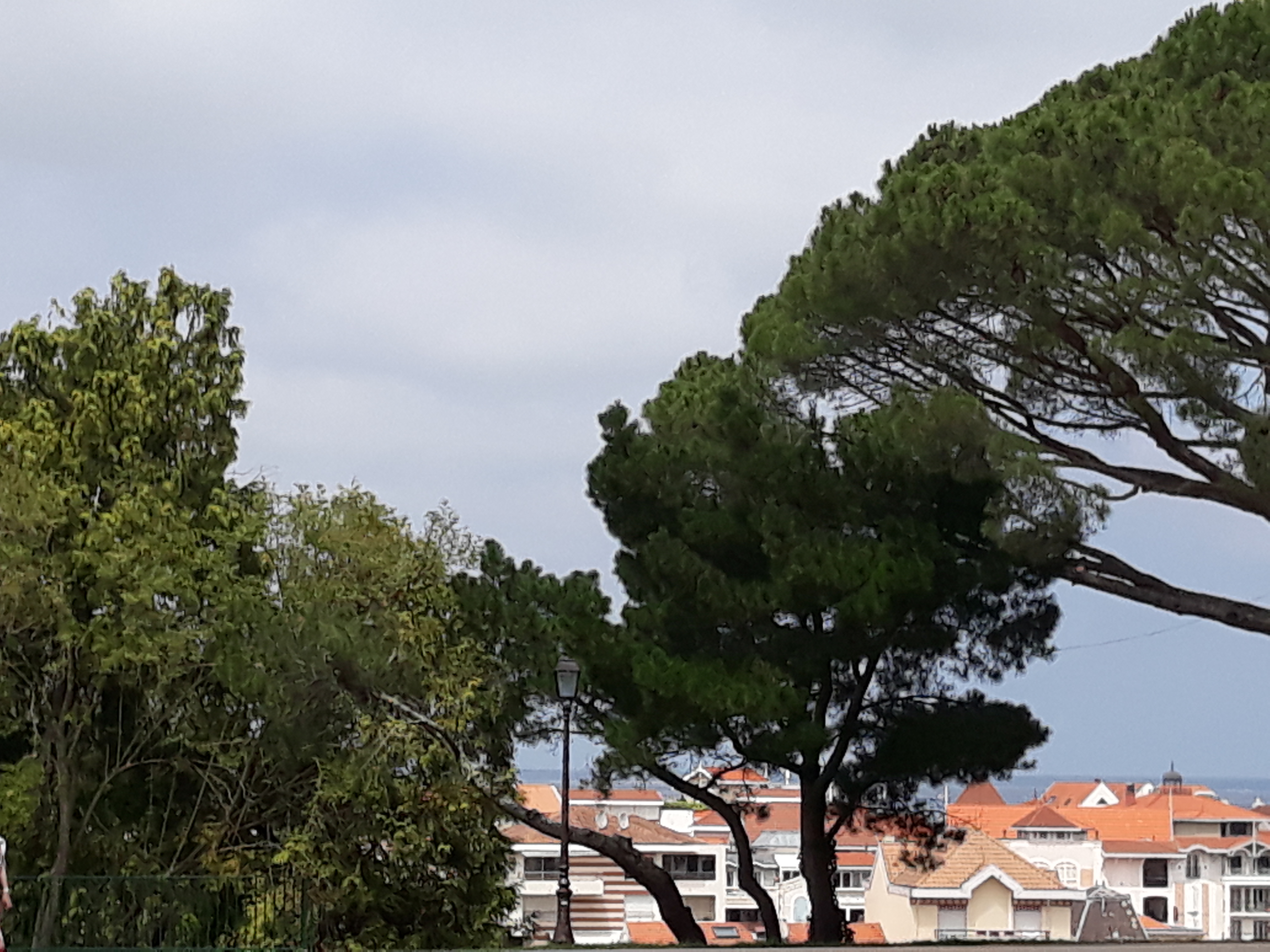 Photo n° 1 de l'avis de michele.a fait le 07/07/2019 à 14:27