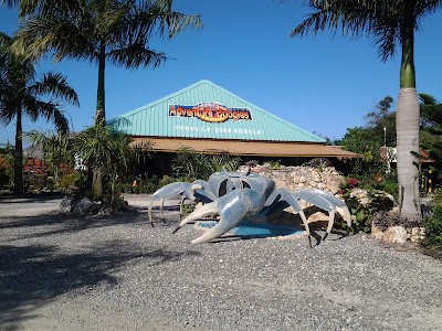 Photos of RANCHO ADVENTURE BOOGIES MACAO